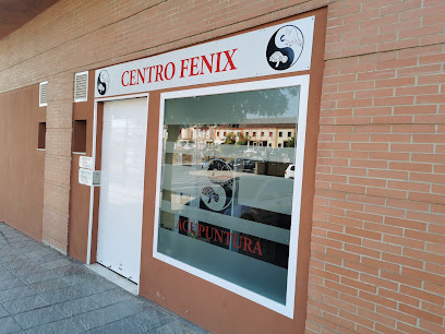 Centro Fenix Acupuntura